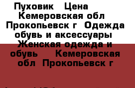 Пуховик › Цена ­ 800 - Кемеровская обл., Прокопьевск г. Одежда, обувь и аксессуары » Женская одежда и обувь   . Кемеровская обл.,Прокопьевск г.